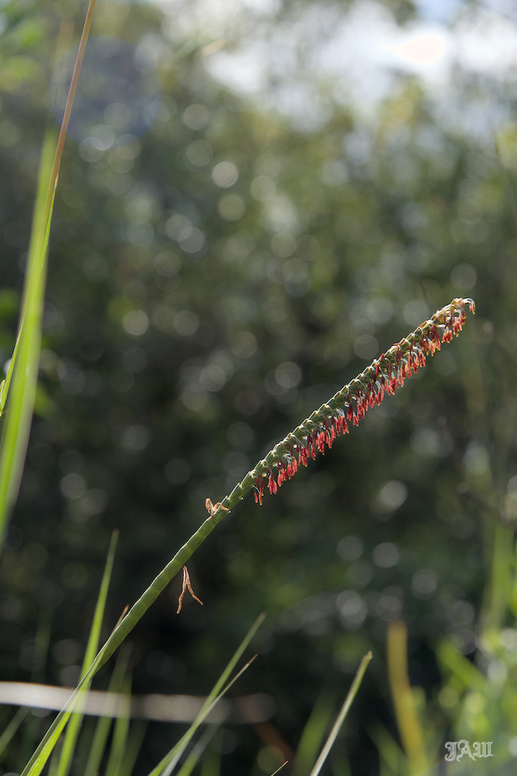 D81_2826.jpg