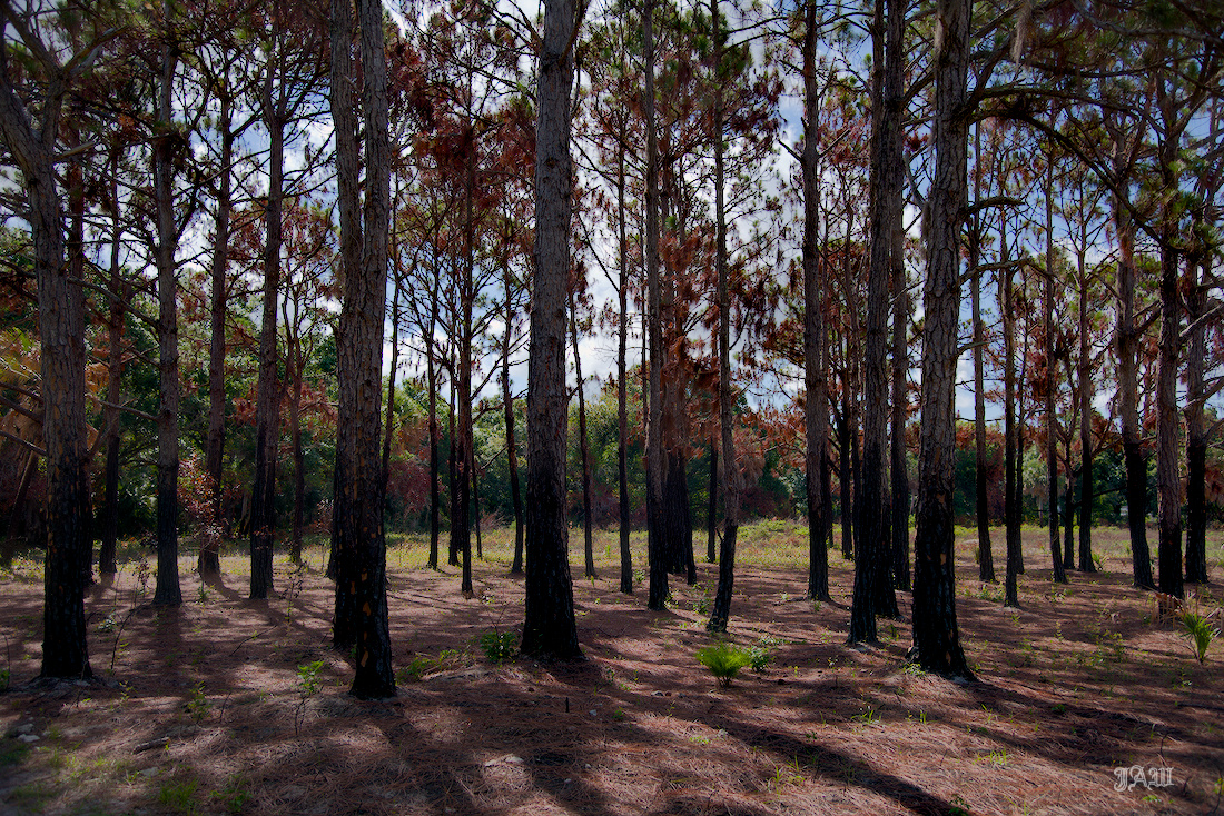 D81_2846.jpg