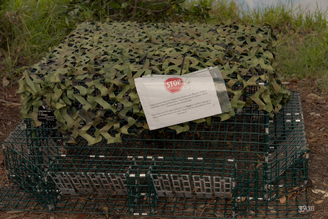 D81_2878.jpg