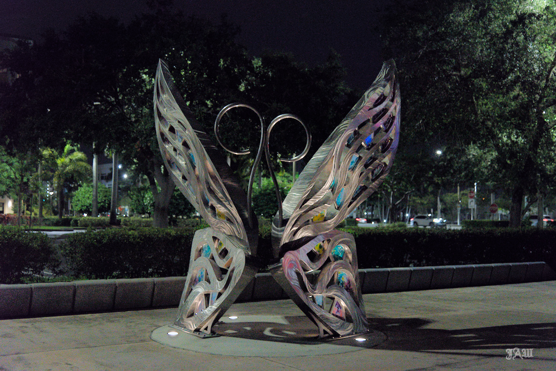 D81_2900.jpg