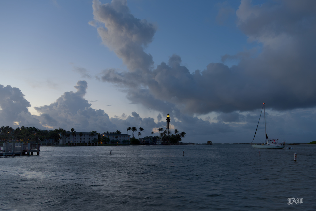 D81_2924.jpg