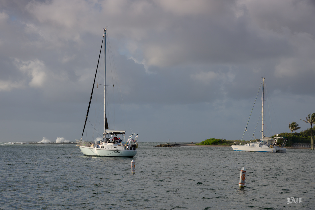 D81_2983.jpg