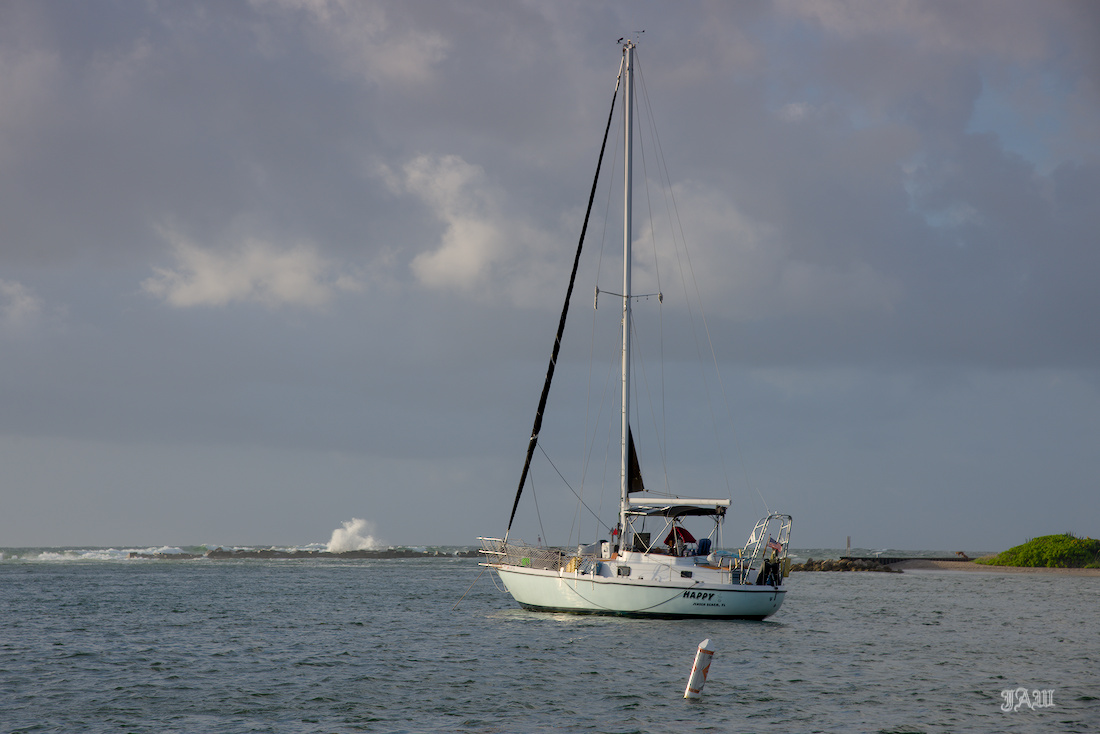 D81_2986.jpg