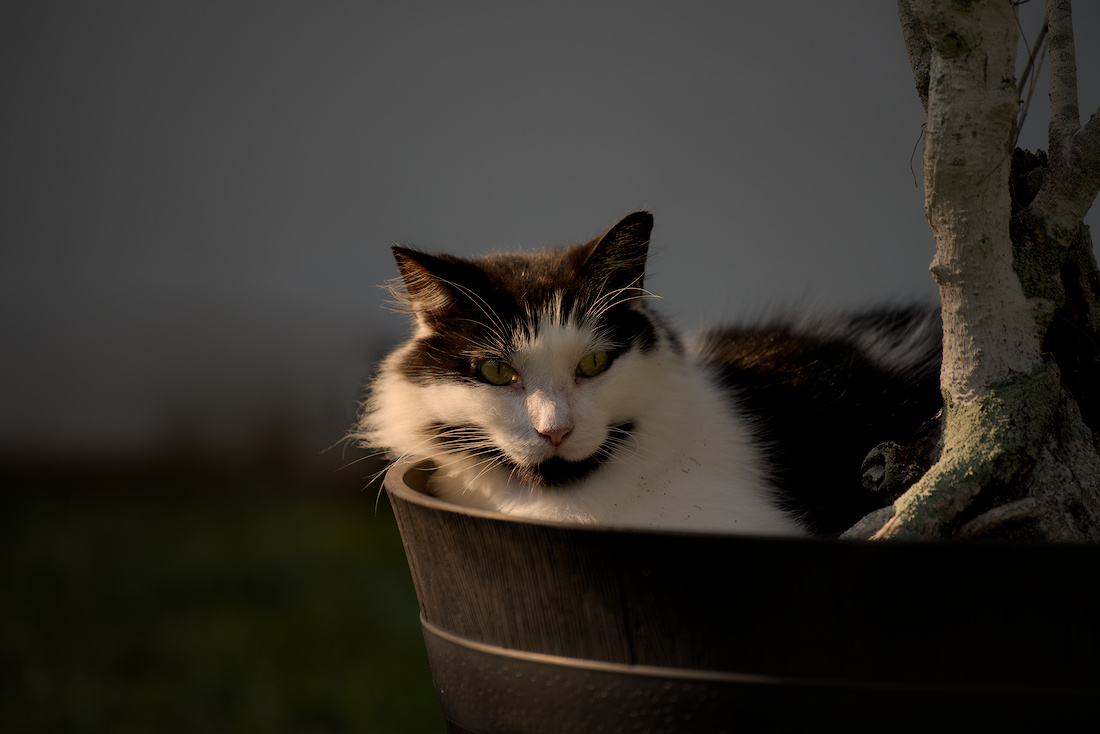 D81_3271.jpg