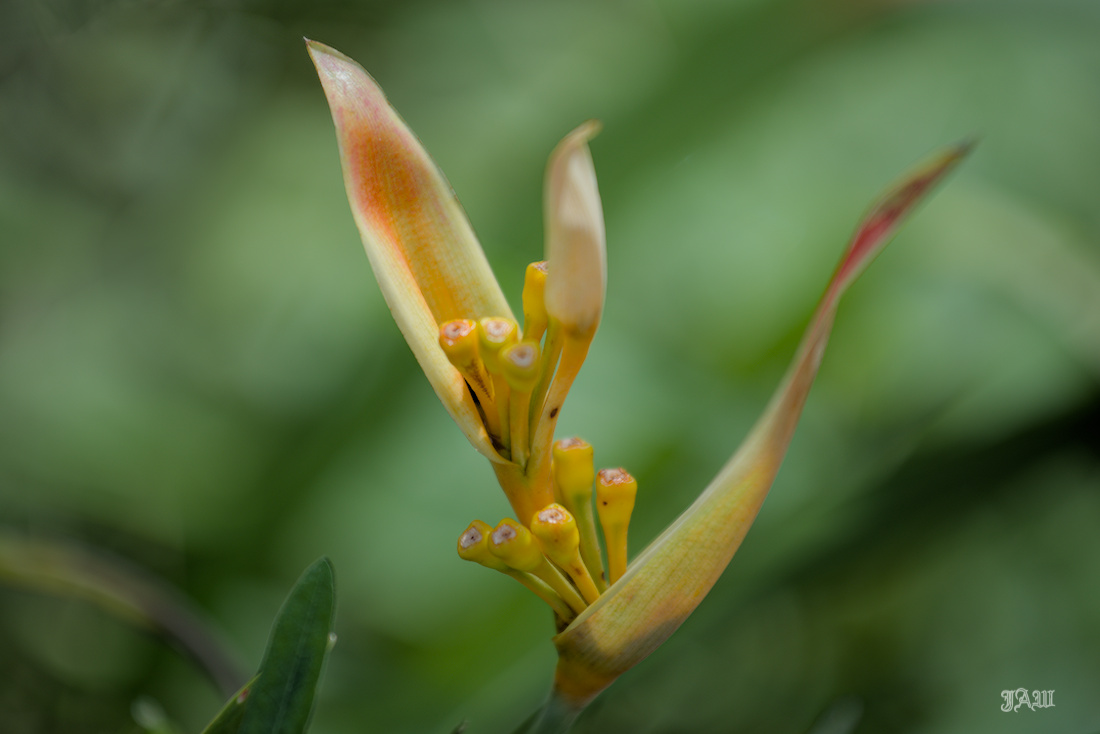 D81_3310.jpg