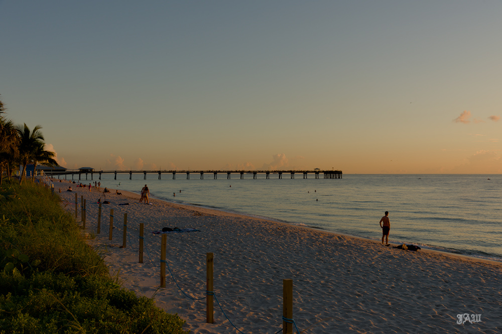D81_3397.jpg