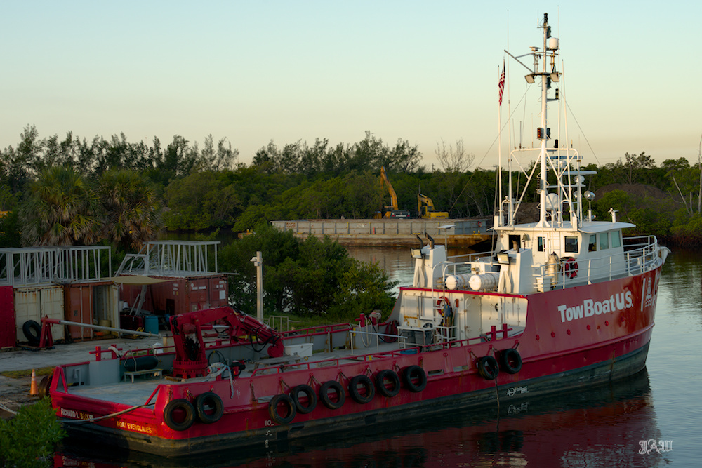 D81_3406.jpg