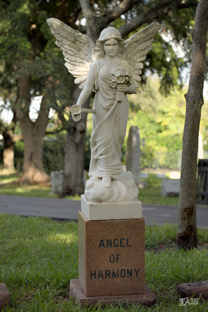 D81_3474.jpg
