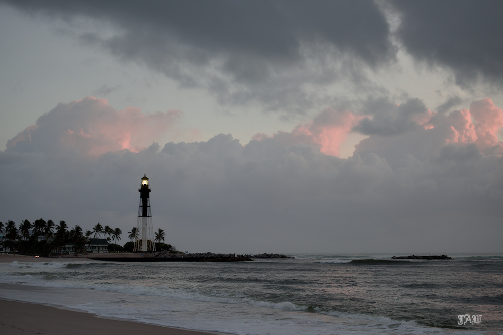 D81_3547.jpg