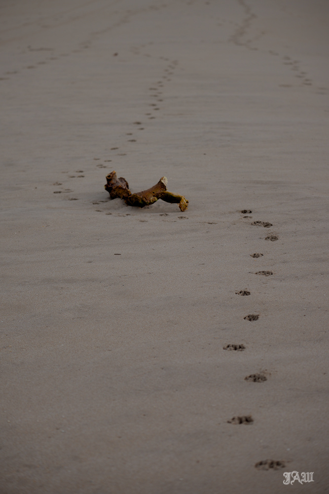 D81_3550.jpg