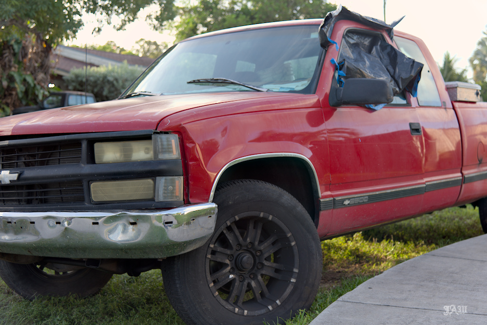 D81_3628.jpg