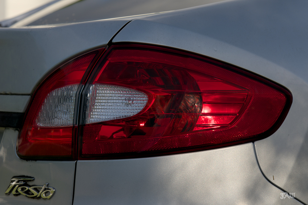 D81_3647.jpg