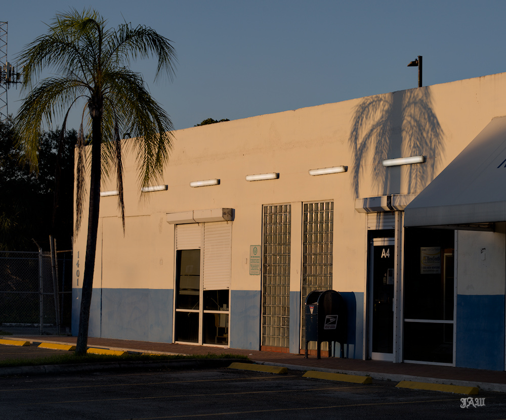 D81_3735_.jpg