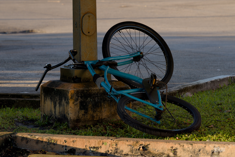 D81_3751_.jpg