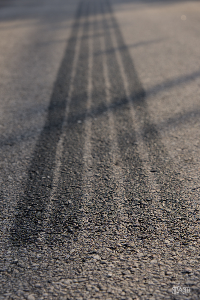 D81_3863.jpg