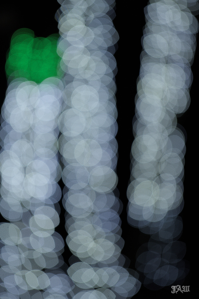 D81_3875__01.jpg