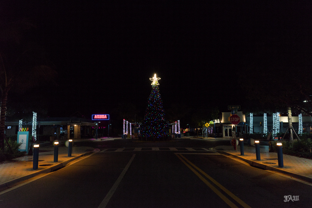 D81_4021_decorations_01.jpg