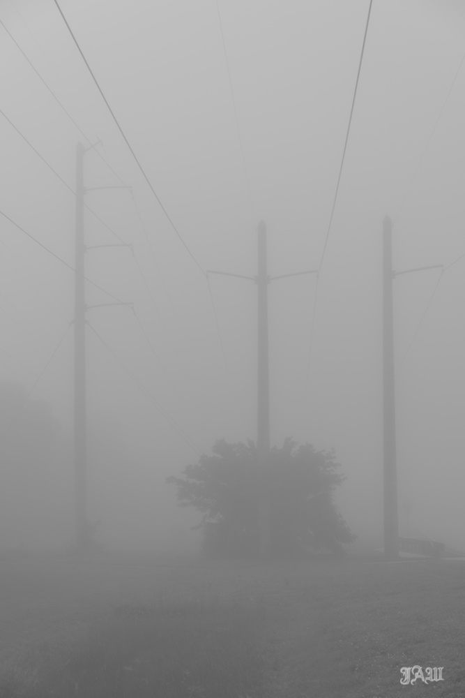 D81_4140_Fog.jpg