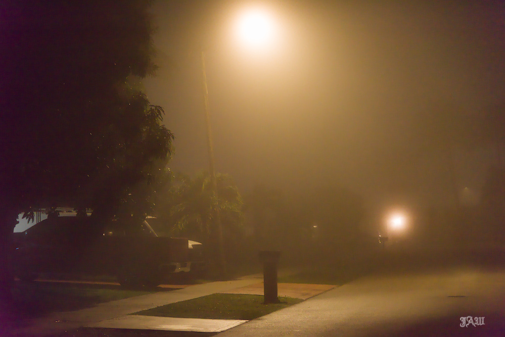 D81_4315_Fog.jpg