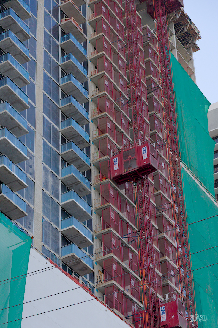 D81_4440__01.jpg