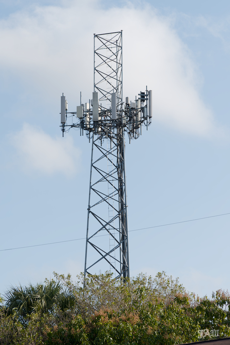 D81_5676_.jpg