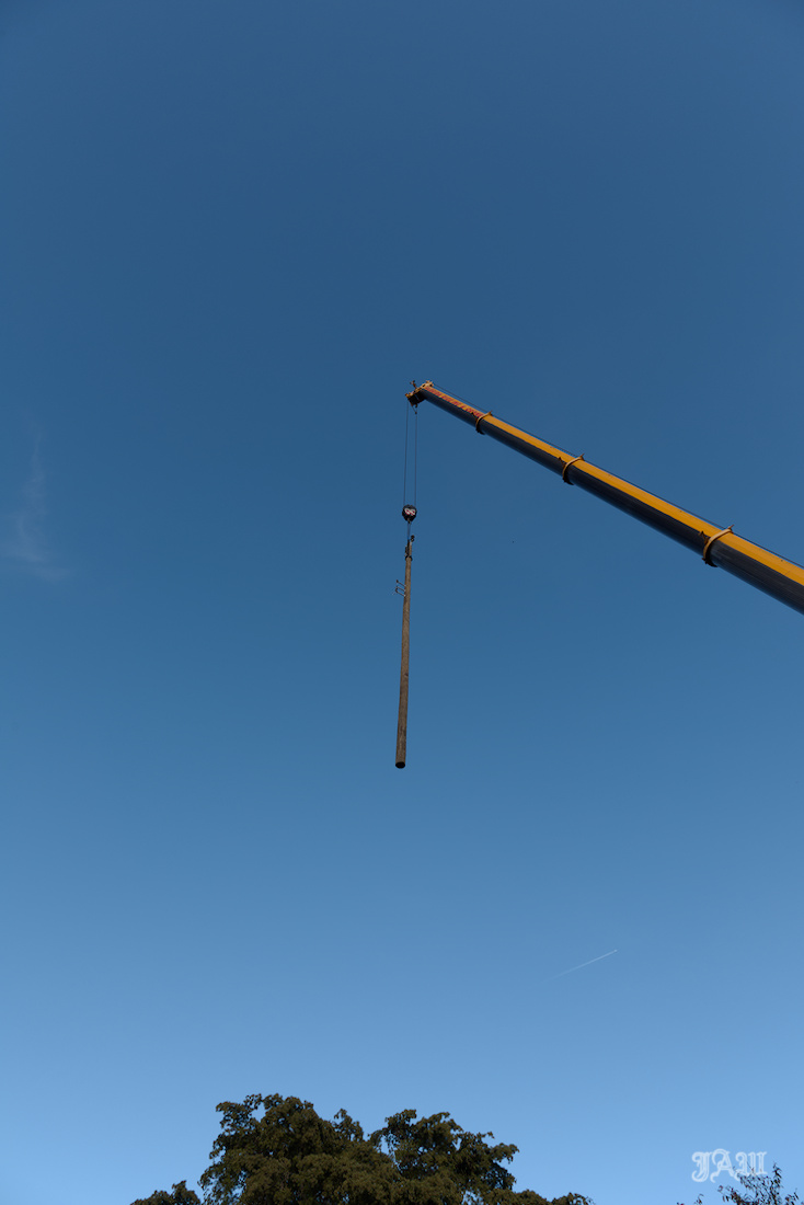 D81_5823_.jpg