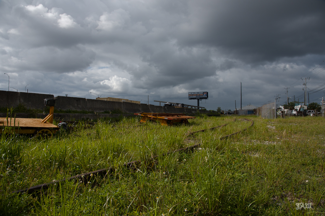D81_5890_.jpg