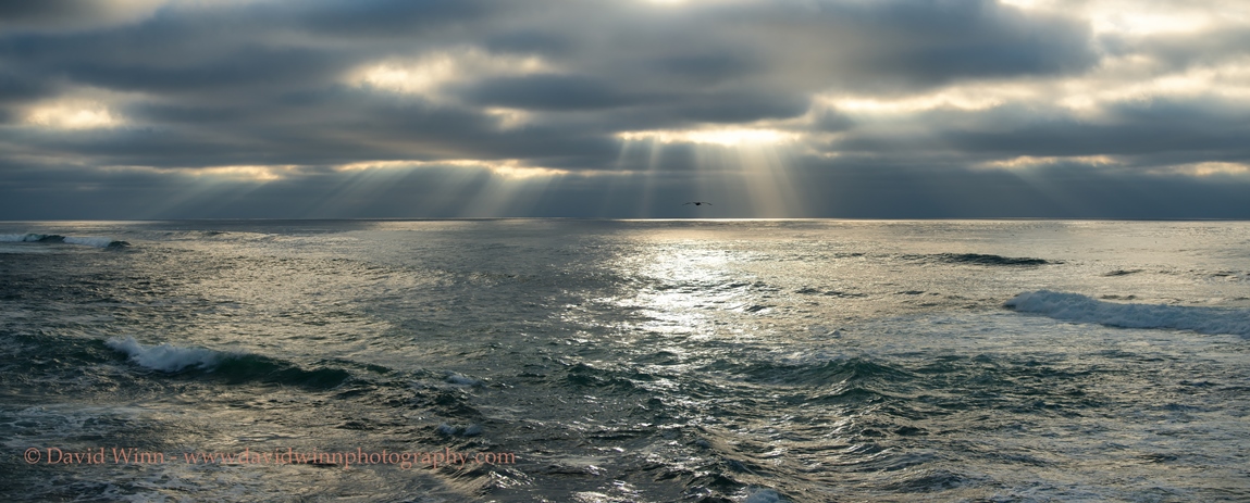 D8A_1110-PAN1-Edit-sm2.jpg