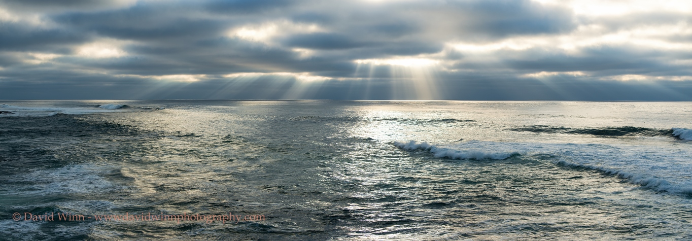 D8A_1115-pan2-Edit-sm.jpg