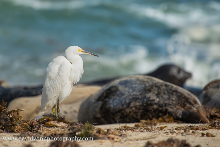 D8A_1396-Edit.jpg