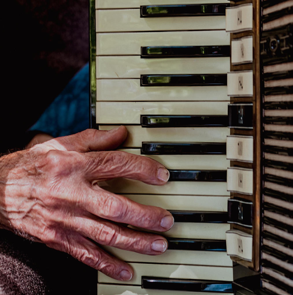 Dad Accordian Hand 1 (1 of 1).jpg