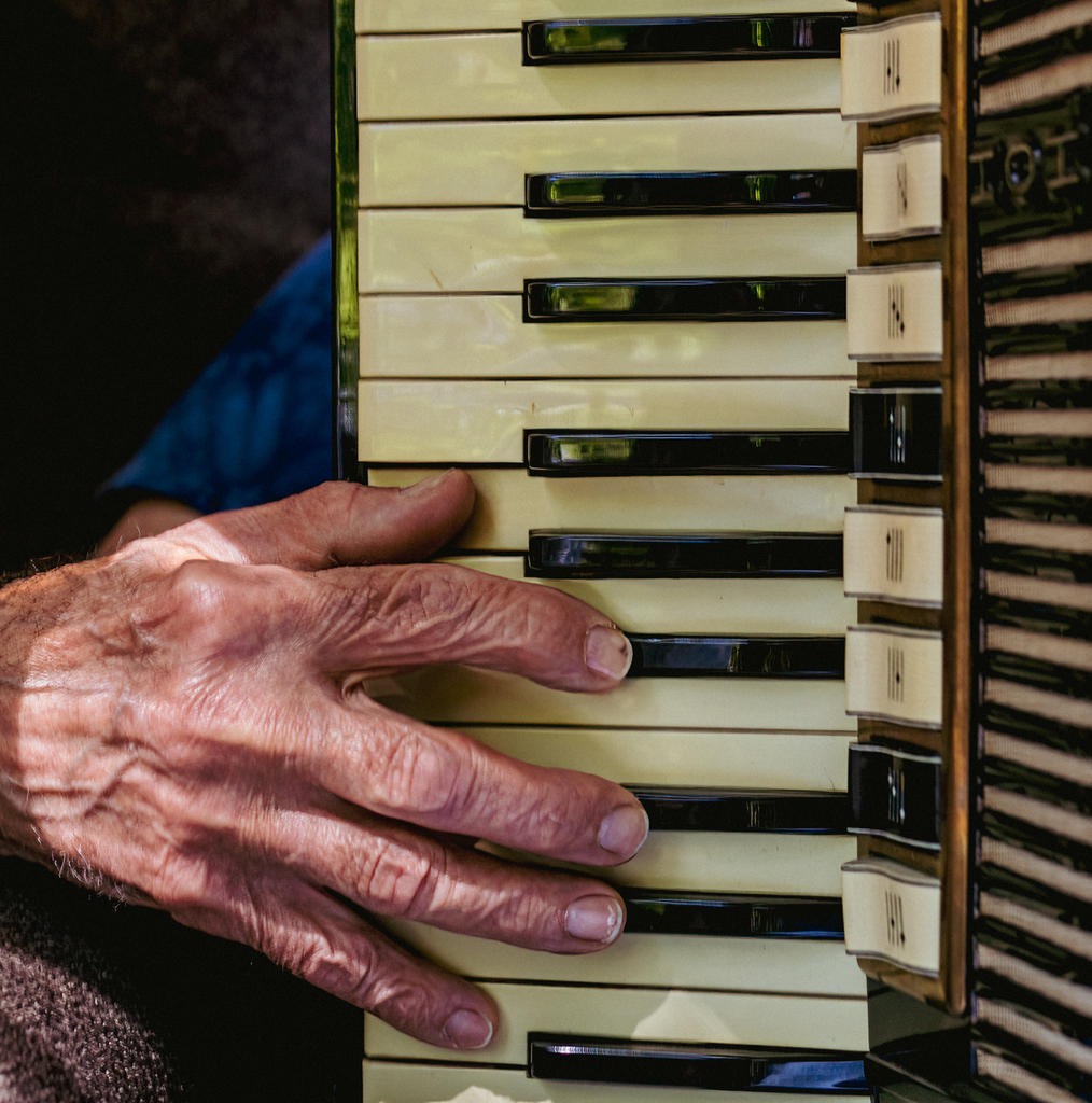 Dad Accordian Hand 2 (1 of 1).jpg