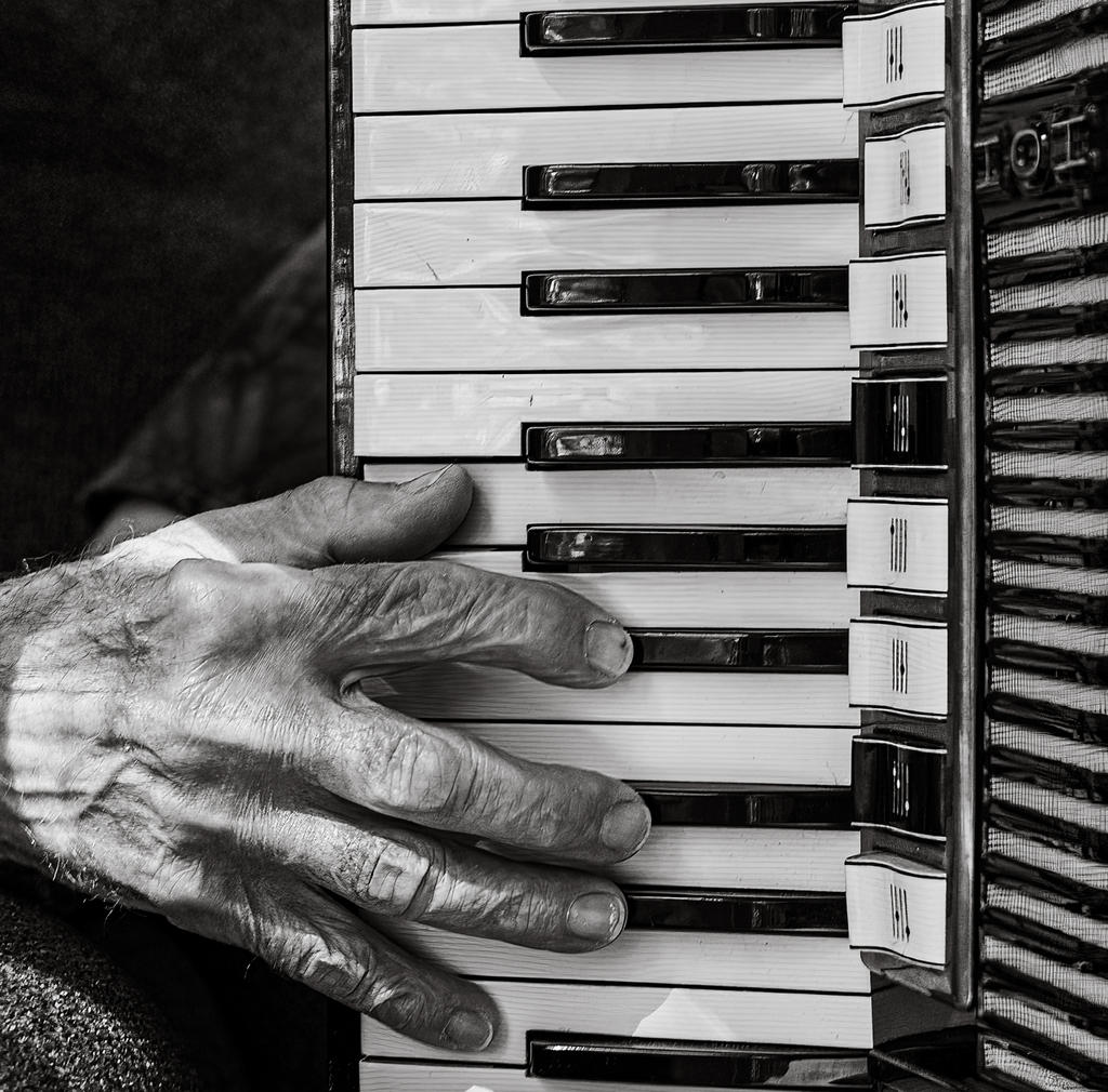 Dad Accordian Hand B&W 2 (1 of 1).jpg