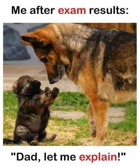 dad.jpg