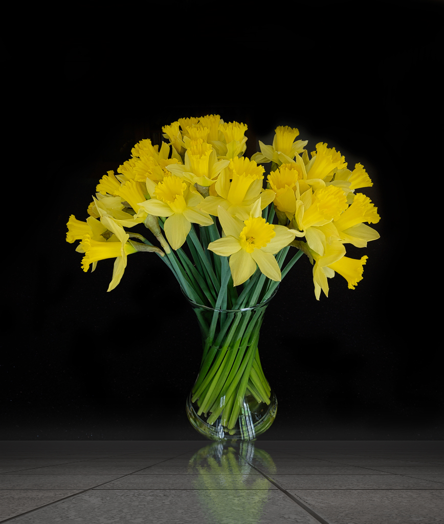 daffs on Tiles.jpg