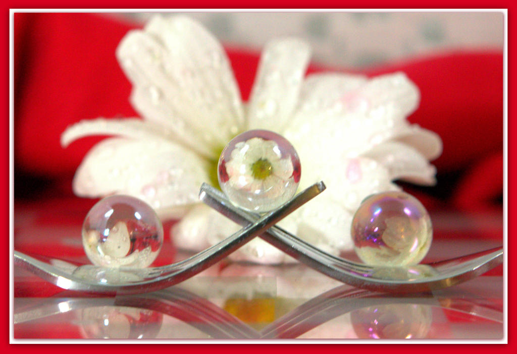 Daisy, Forks, and Marbles.jpg