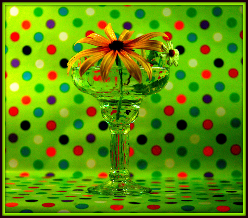 Daisy with Green Polka Dots.jpg