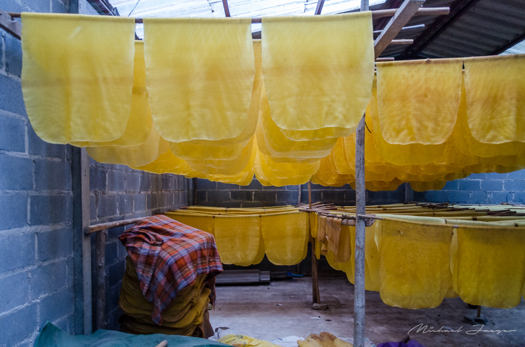 danei-farm-part-1-5.jpg