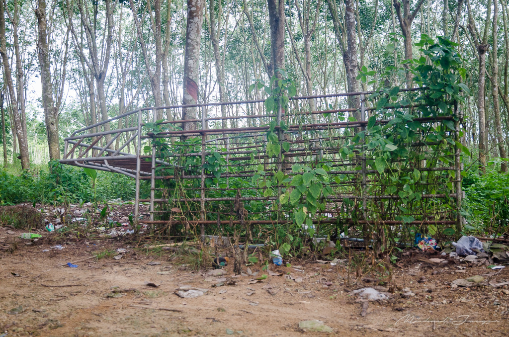 danei-farm-part-2-1.jpg