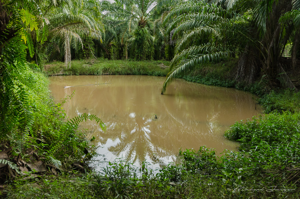 danei-farm-part-2-23.jpg