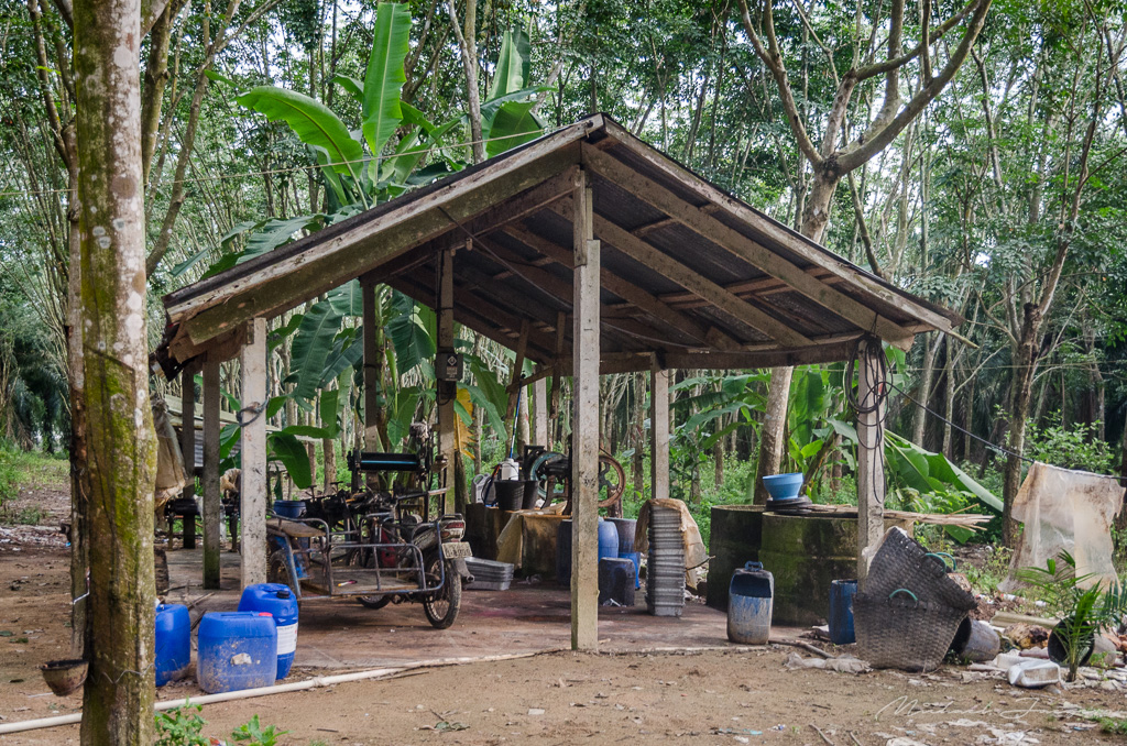 danei-farm-part-2-3.jpg