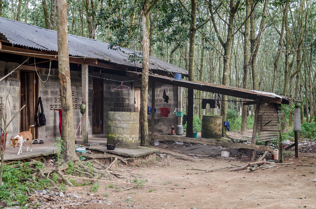 danei-farm-part-2-4.jpg