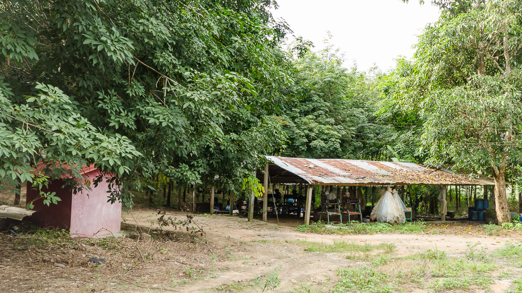 danei-farm-part-3-14.jpg