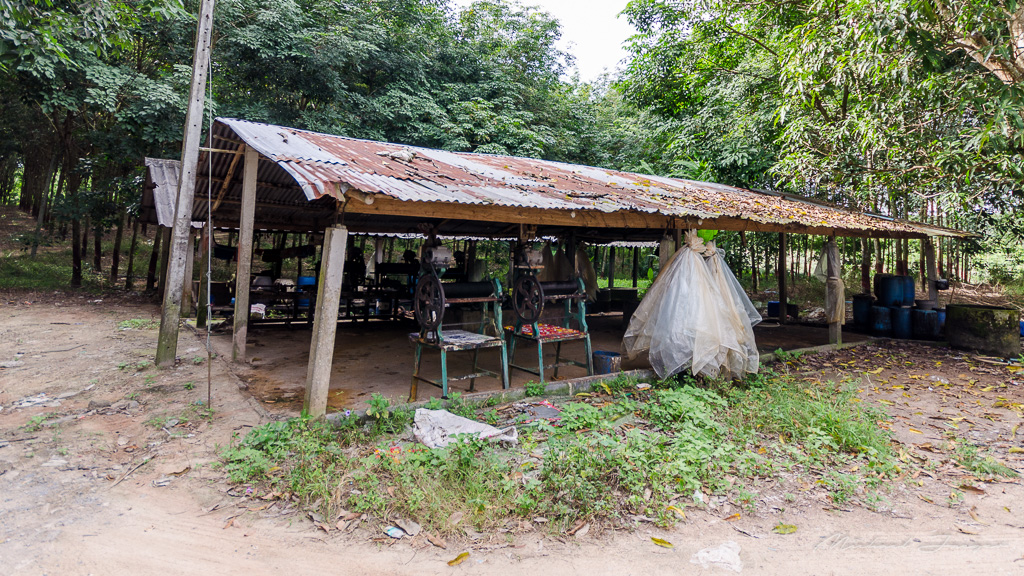 danei-farm-part-3-16.jpg