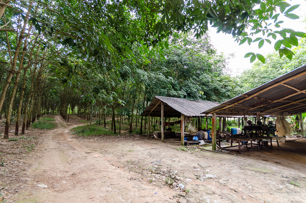 danei-farm-part-3-19.jpg