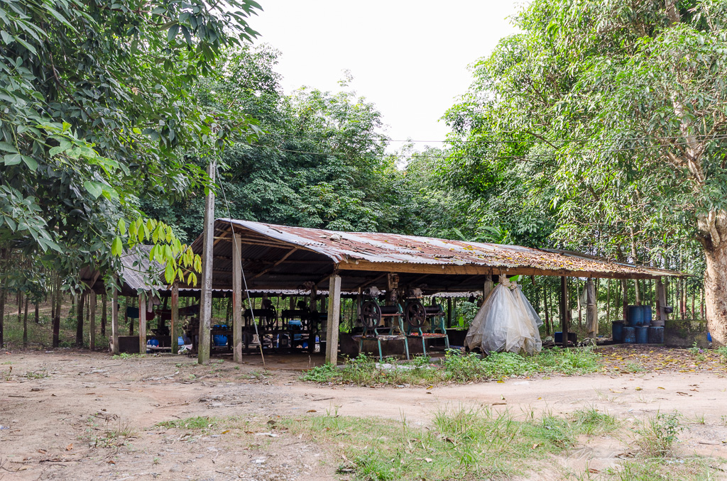 danei-farm-part-3-20.jpg