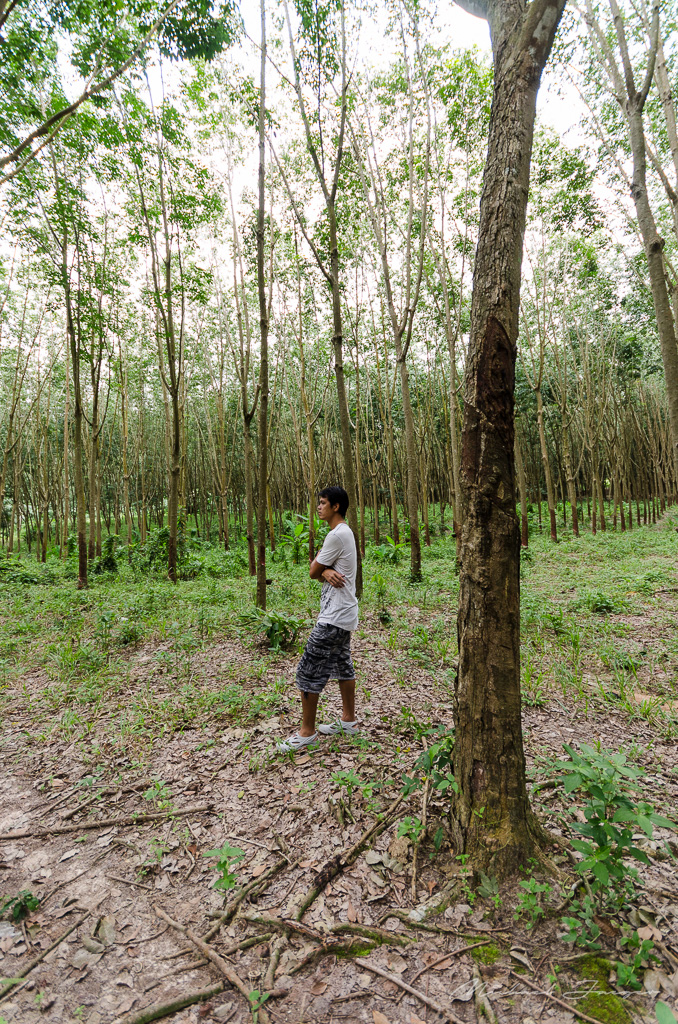 danei-farm-part-4-14.jpg