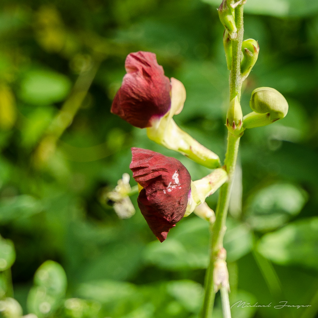 danei-farm-part-5-20.jpg