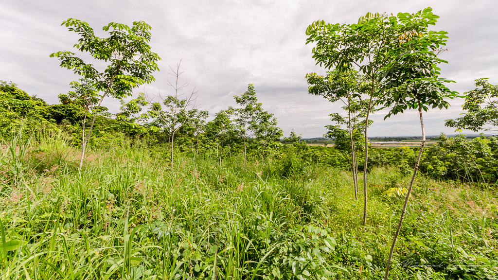 danei-farm-part-5-21.jpg