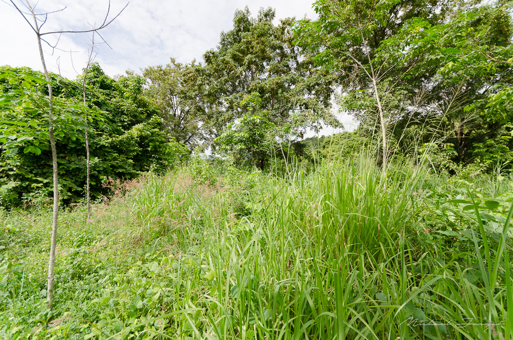 danei-farm-part-5-25.jpg